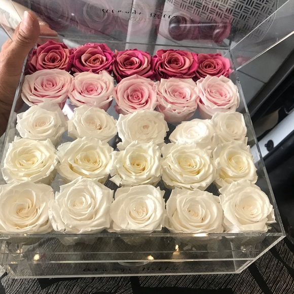 Always Bella eternal roses in case - Picture 6 of 6